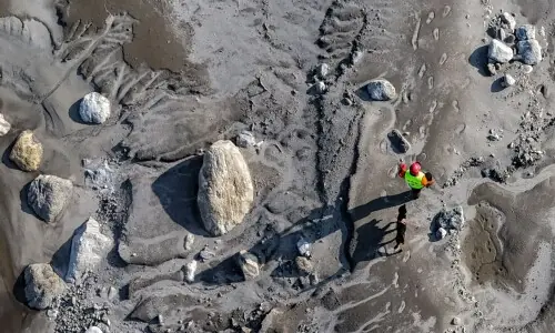 Nepal's grim DNA puzzle to identify flood dead
