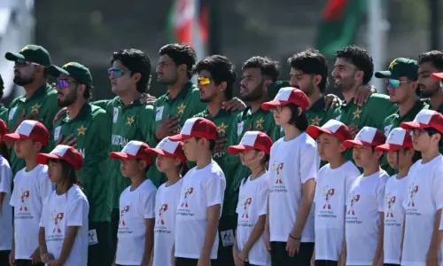 India-Pakistan blockbuster brings cricket fever to Japan baseball field