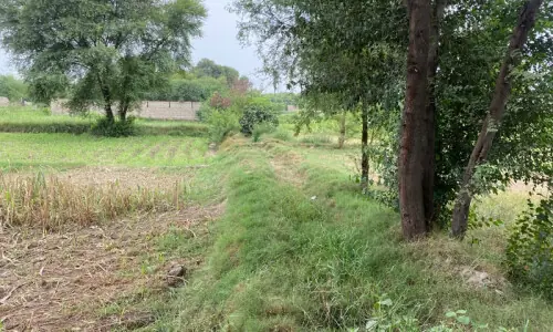 Dispute over ‘encroached’ watercourse puts 40-acre land’s irrigation at risk in Muzaffargarh's Alipur Dispute over ‘encroached’ watercourse puts 40-acre land’s irrigation at risk in Muzaffargarh's Alipur