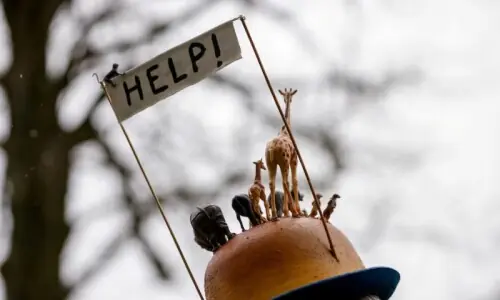 Thousands urge climate action at Brussels demo