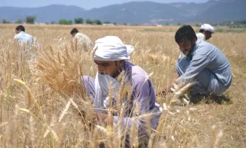 Prime minister says wheat available in abundance for domestic needs, vows no leniency for hoarders Prime minister says wheat available in abundance for domestic needs, vows no leniency for hoarders