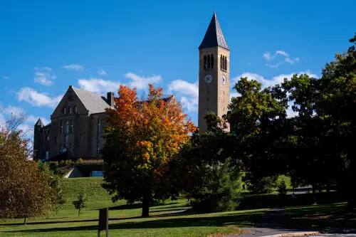 Cornell University bans frat parties for rest of academic year after alleged gang rape