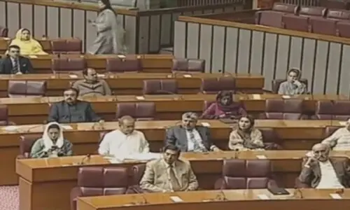 National Assembly passes resolution endorsing Centre's imposition of emergency in KP National Assembly passes resolution endorsing Centre's imposition of emergency in KP