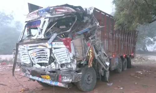 Out-of-control truck kills 13 at religious festival in India's Madhya Pradesh Out-of-control truck kills 13 at religious festival in India's Madhya Pradesh