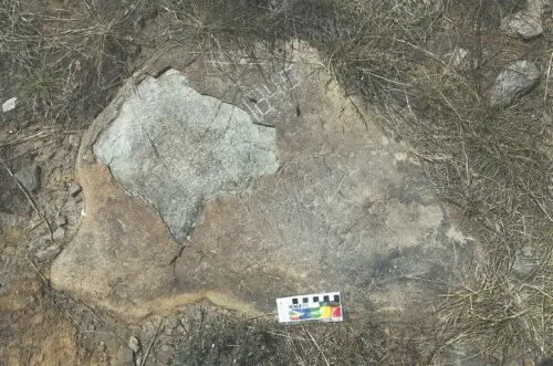 Experts discover rare ancient rock art in mountainous region Experts discover rare ancient rock art in mountainous region