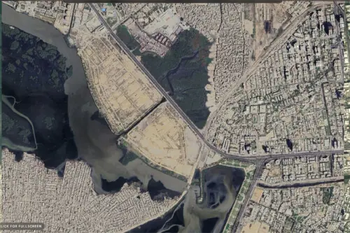 Mangrove loss raises flood, erosion risks along Karachi coast