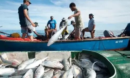 Why do we see so little aquaculture in Sindh?