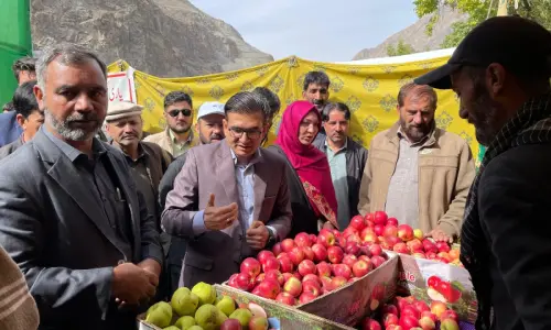 Kharmang celebrates colour, taste and aroma of Suspolo apples