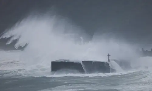 Taiwan shuts down ahead of Typhoon Champi, nearly 1,000 flights cancelled Taiwan shuts down ahead of Typhoon Champi, nearly 1,000 flights cancelled