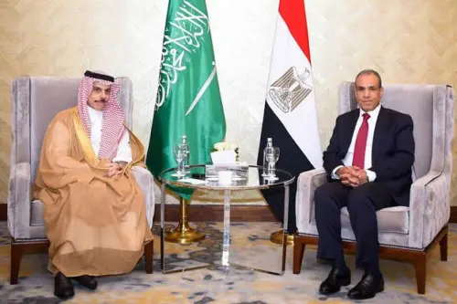 Egypt, Saudi foreign ministers discuss containing regional crisis