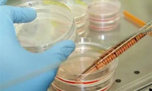 First patient undergoes pioneering stem-cell treatment for Parkinson's