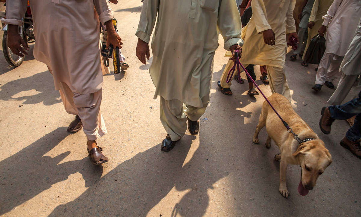 Members of a police bomb squad patrol with their sniffer dog during a bomb search operation in Peshawar. &ndash; Photo by Reuters