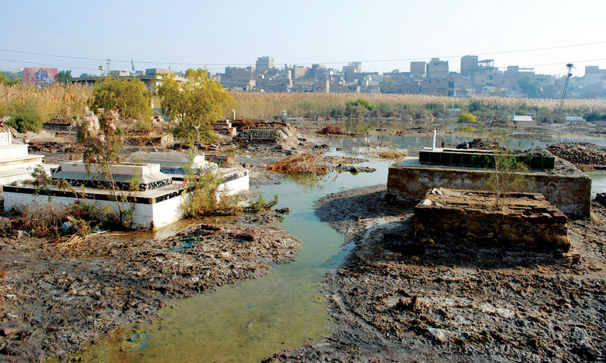 Sewerage water in a Hyderabad graveyard. - Photo by the writer