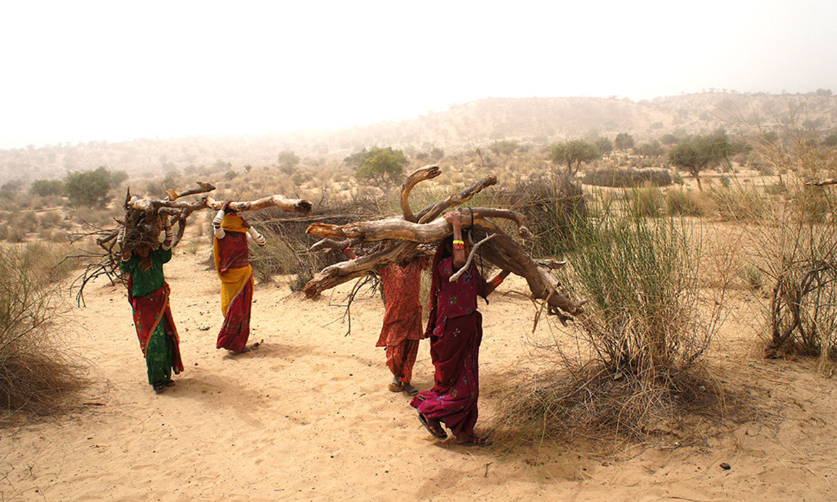 Women returning home after collecting firewood in Thar. – Photo by Emmanuel Guddu