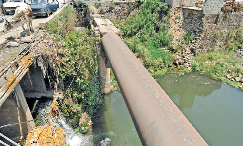 2. When the once fresh waterway emerges from Bari Imam, it has taken the look of an open drain, carrying dark coloured sludge. 