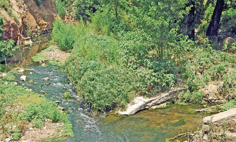 5. Although the water of the stream passing through F-7 Markaz also is similarly clear but solid waste on its banks make it look dirty.