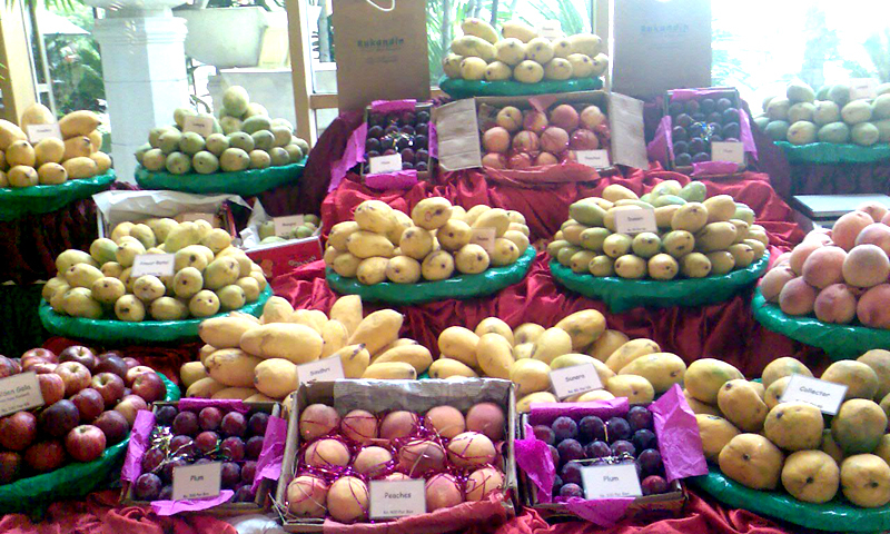 میرپورخاص میں منعقدہ مینگو فیسٹیول میں لگایا گیا ایک اسٹال۔ —. فوٹو اوپن سورس میڈیا 