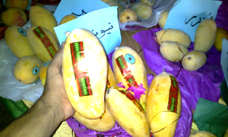 آموں کی غیر معروف اقسام۔ —. فوٹو اوپن سورس میڈیا