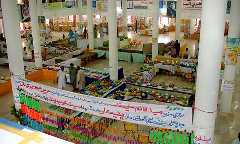 میرپورخاص میں منعقدہ مینگو فیسٹول کے لیے بطور خاص تعمیر کیے گئے ہال میں لگائے گئے اسٹالوں کا ایک منظر۔ —. فوٹو اوپن سورس میڈیا