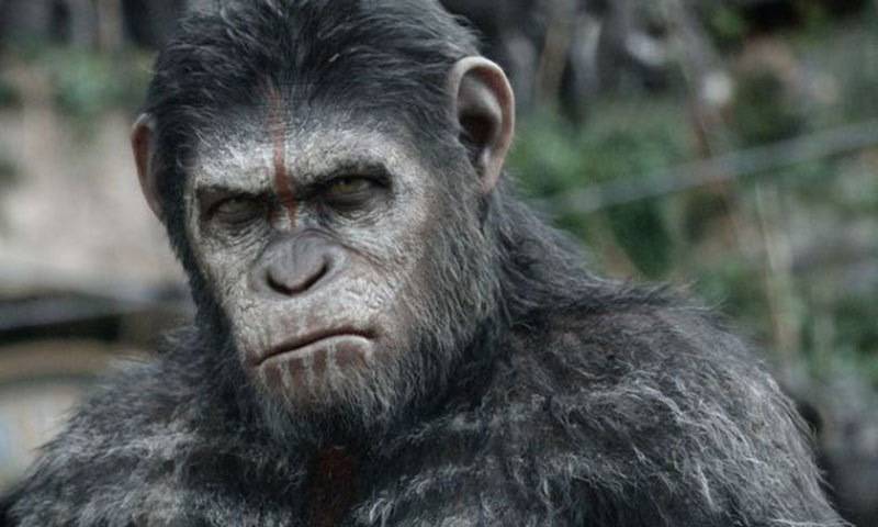 A scene from movie, "Dawn of the Planet of the Apes". &ndash; Courtesy Photo