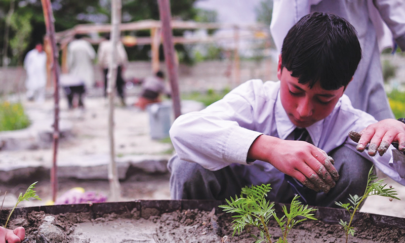 Photos by Kuslum Ebrahim