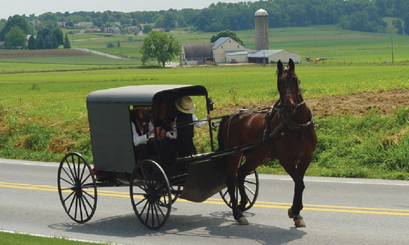 Horse drawn carriages or buggies are still used for transportation