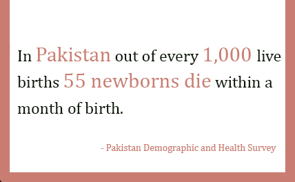  Pakistan Demographic and Health Survey