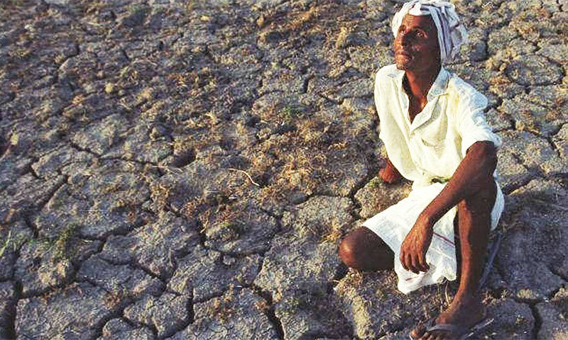 Crime, previously negligible in Thar, and suicide is now on the rise, as the social bonds holding communities together dry up in the heat of an arid monsoon season. -Photo courtesy of the Al Mustafa Welfare Trust