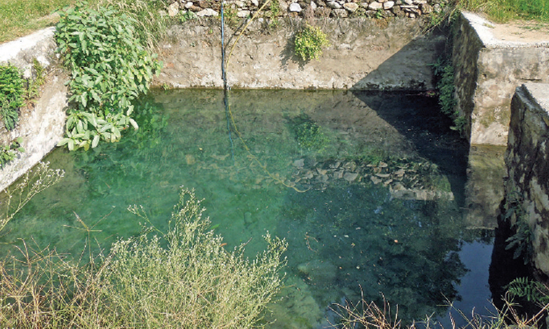 A pond which stores the spring water. Despite the negligence, water in the pond is crystal clear.