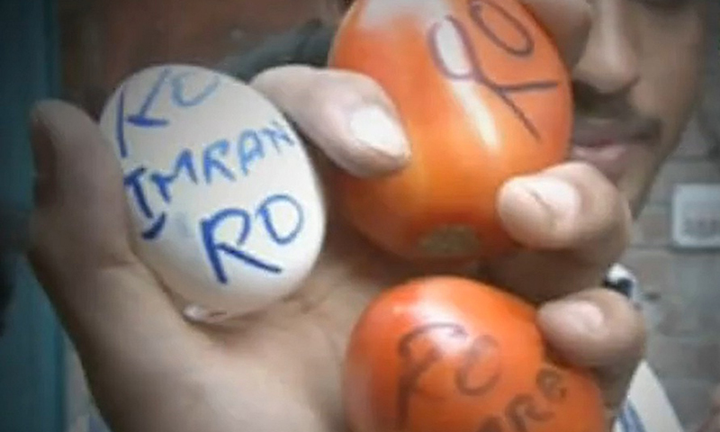 TV screengrab of the recovered eggs.