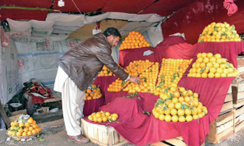 A vendor displays blood oranges at his makeshift stall on Khanpur- Taxila road. — Dawn