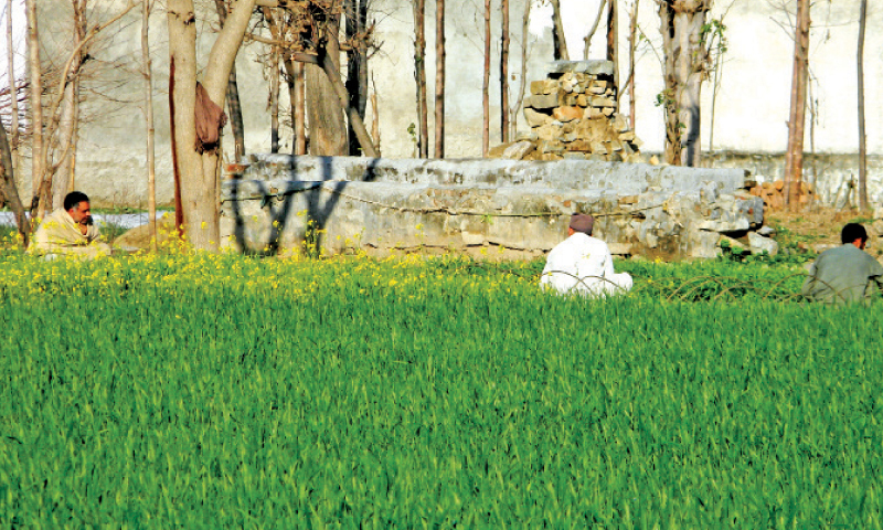 Prolonged dry spell causing great worry among farmers - Newspaper ...