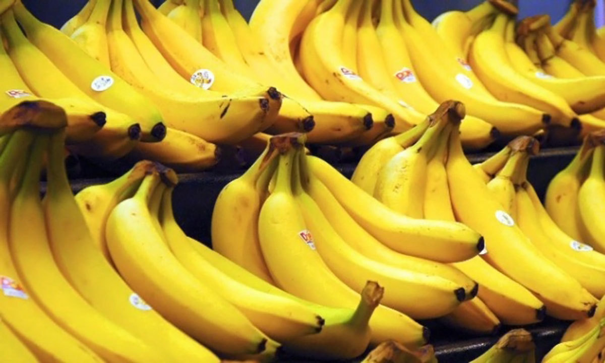 &mdash; وکی میڈیا کامنز