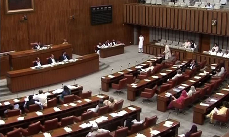 A view of the Senate session in progress. — DawnNews screengrab