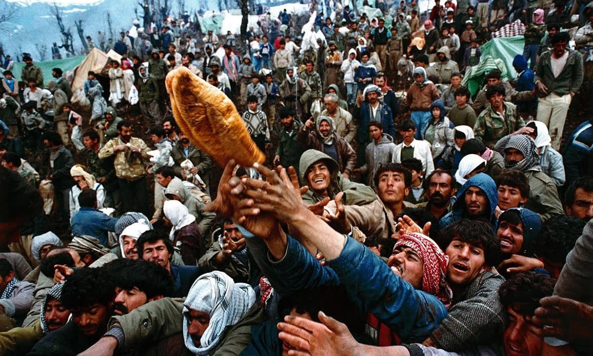 Frantic Kurdish refugees struggle for a loaf of bread, during a humanitarian aid distribution in the mountains of Isikveren at the Iraqi-Turkish border.&mdash;Reuters