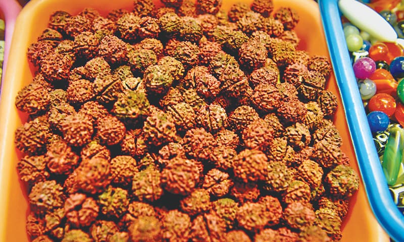 Rudraksha seeds.