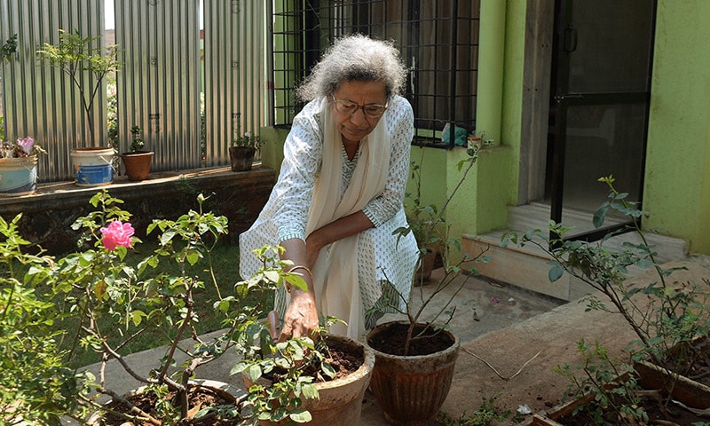 In this photograph taken on March 10, 2015, elderly Indian citizen Usha Mantri works in a garden outside her home as she speaks with AFP at The Dignity Foundation Township in Neral some 50kms east of Mumbai in the western Indian state of Maharashtra. — AFP