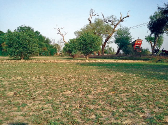 RAHIM YAR KHAN: Proposed land for new Sabzi Mandi. &mdash; Dawn