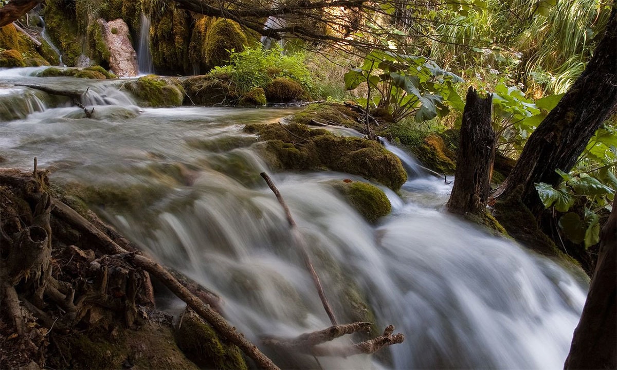 فوٹو بشکریہ وکی پیڈیا