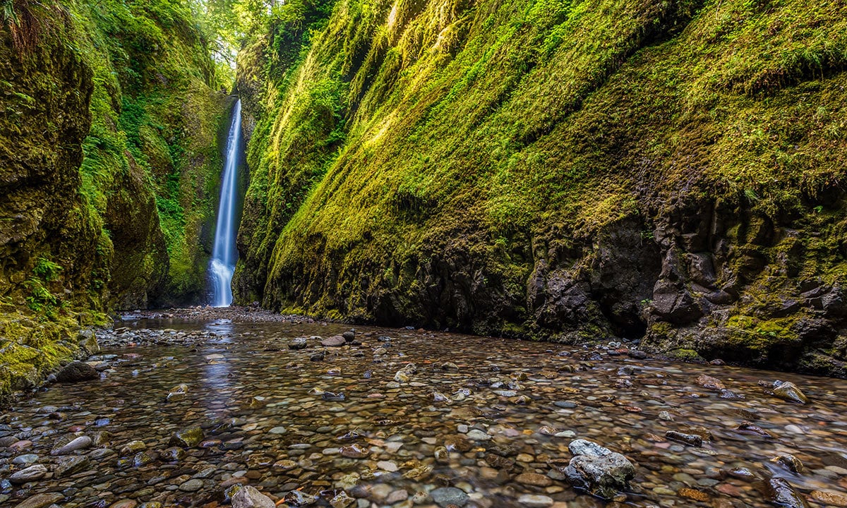 کریٹیو کامنز فوٹو