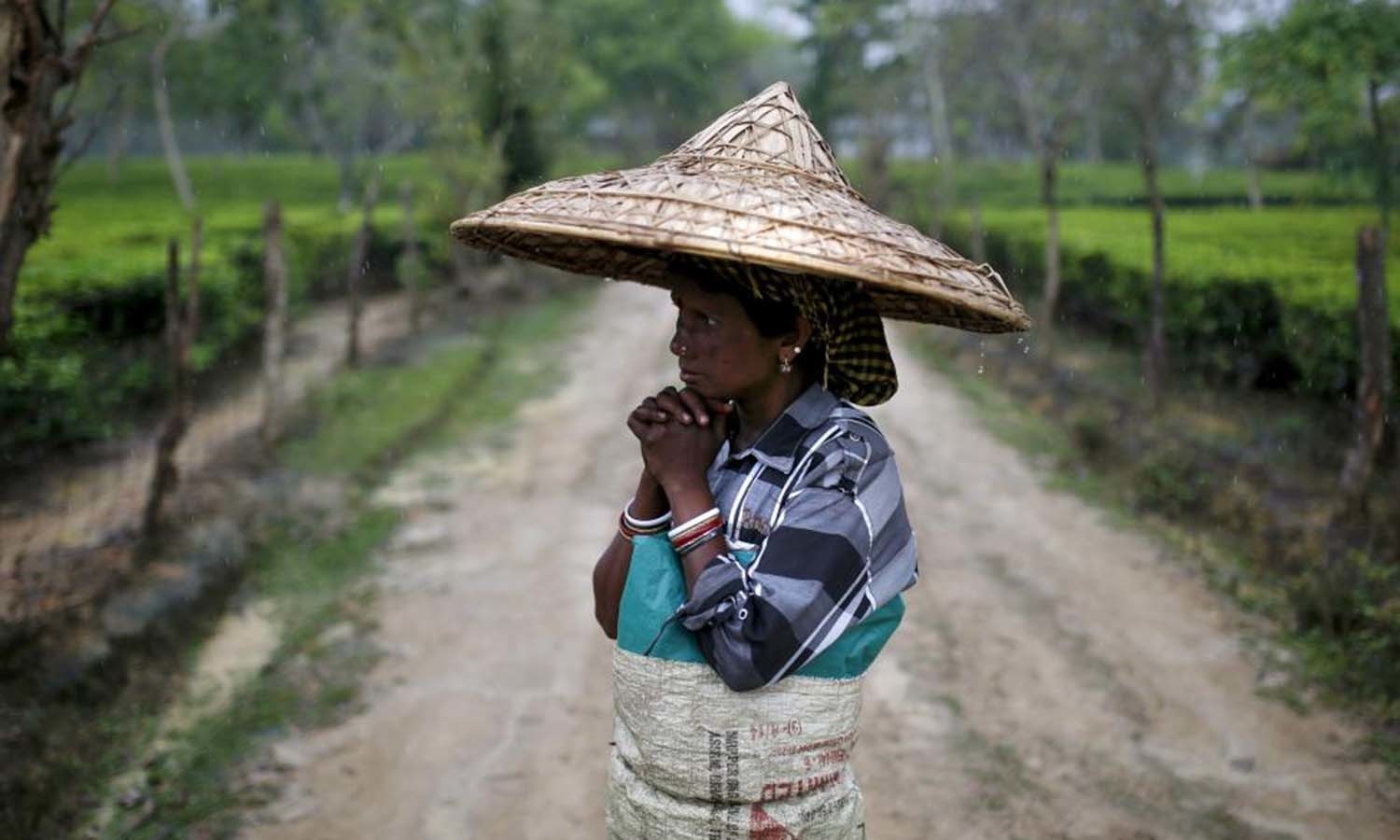 A tea garden worker wearing a jappi hat made out of bamboo and palm leaves waits for the rain to stop to resume her work inside Aideobarie Tea Estate in Jorhat in Assam. — Reuters