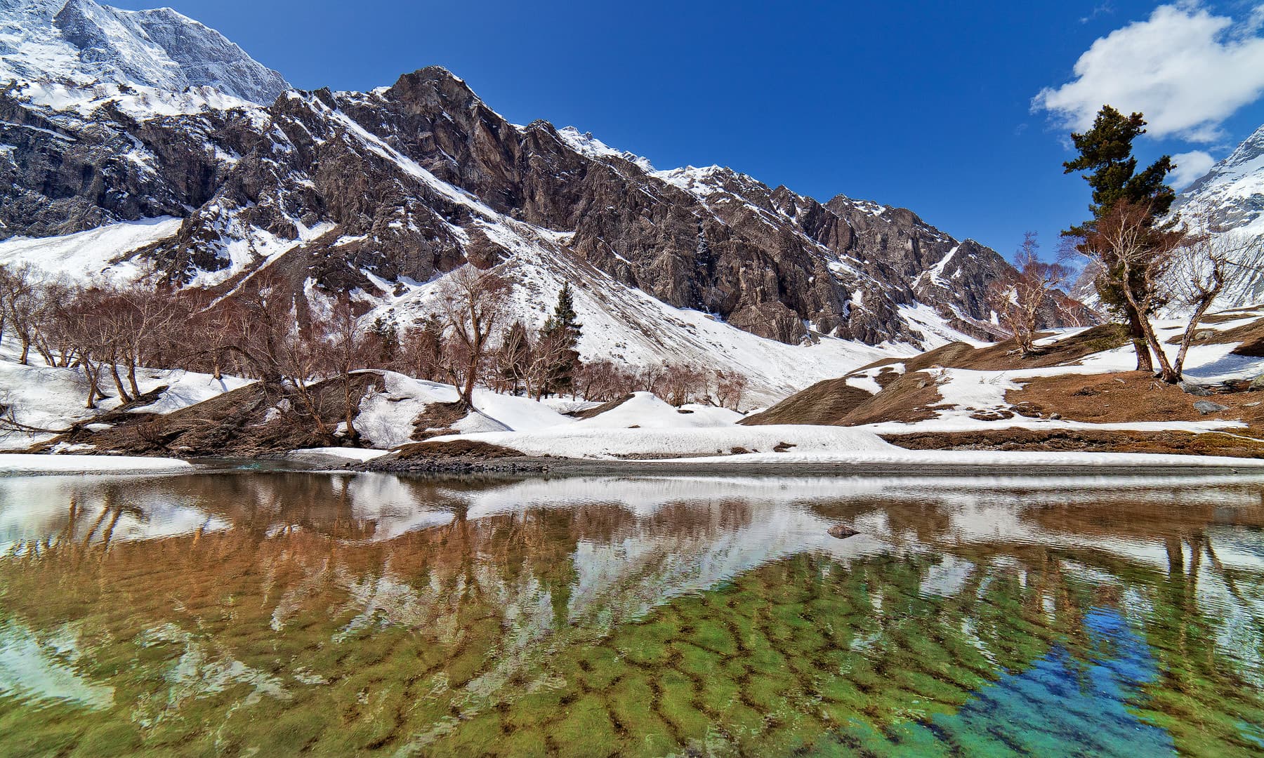 Naltar in winter. — Syed Mehdi Bukhari