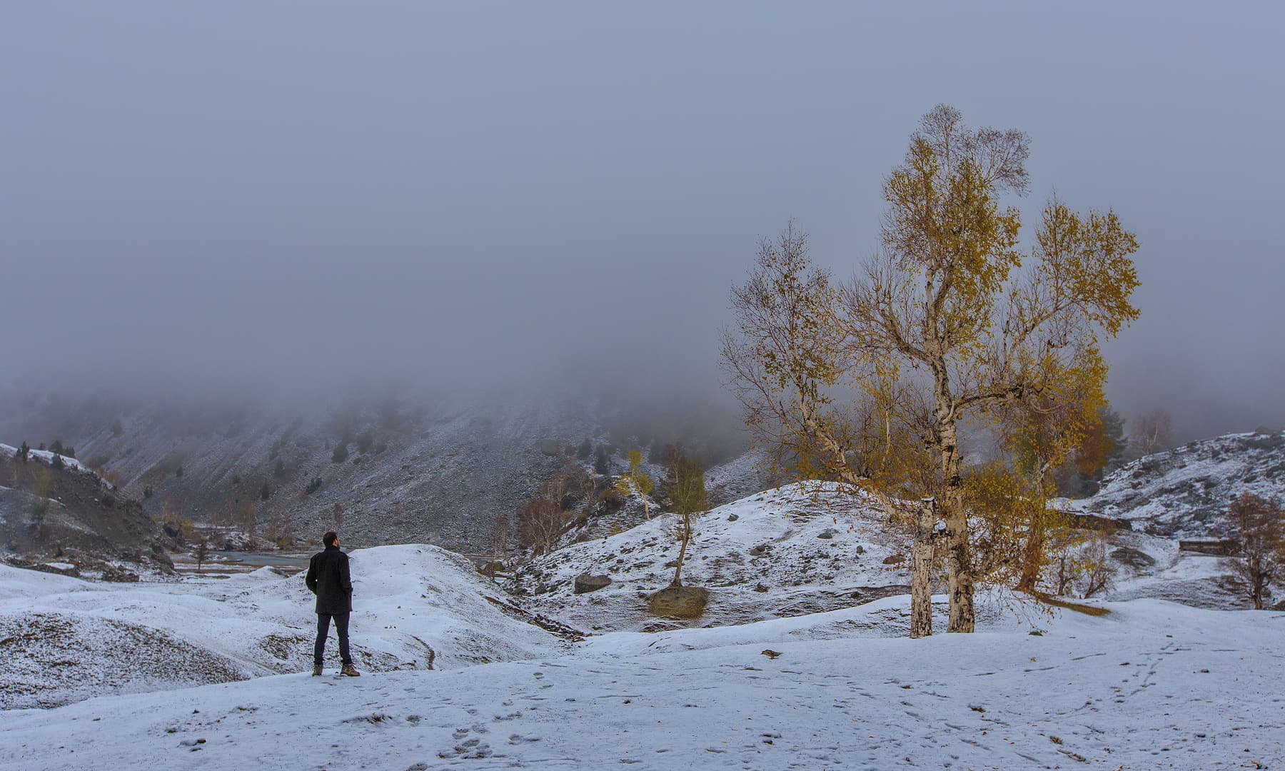 Towards Naltar lake. — Syed Mehdi Bukhari