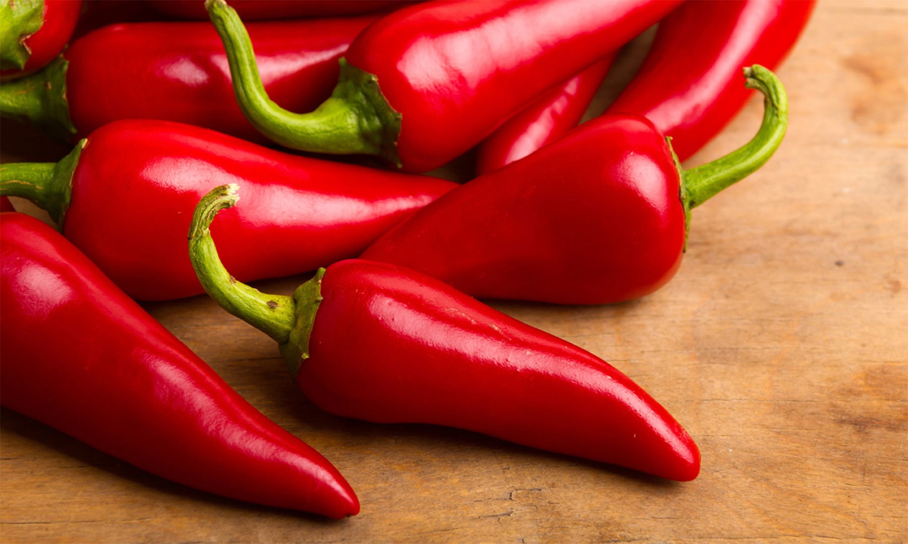 کریٹیو کامنز فوٹو