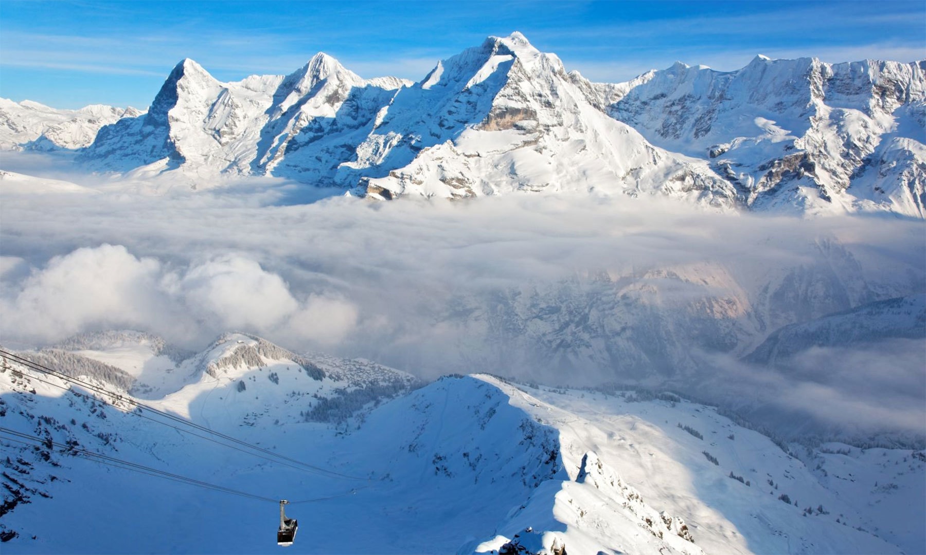 کریٹیو کامنز فوٹو