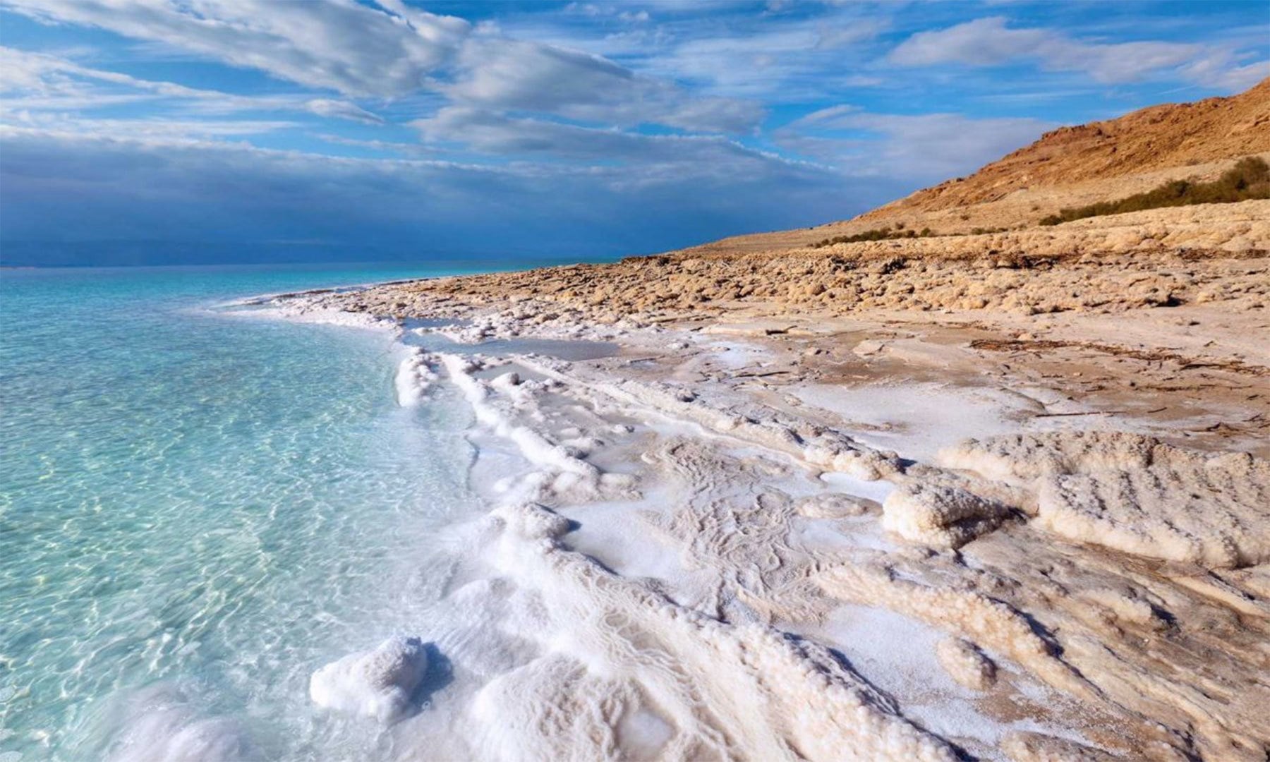 کریٹیو کامنز فوٹو