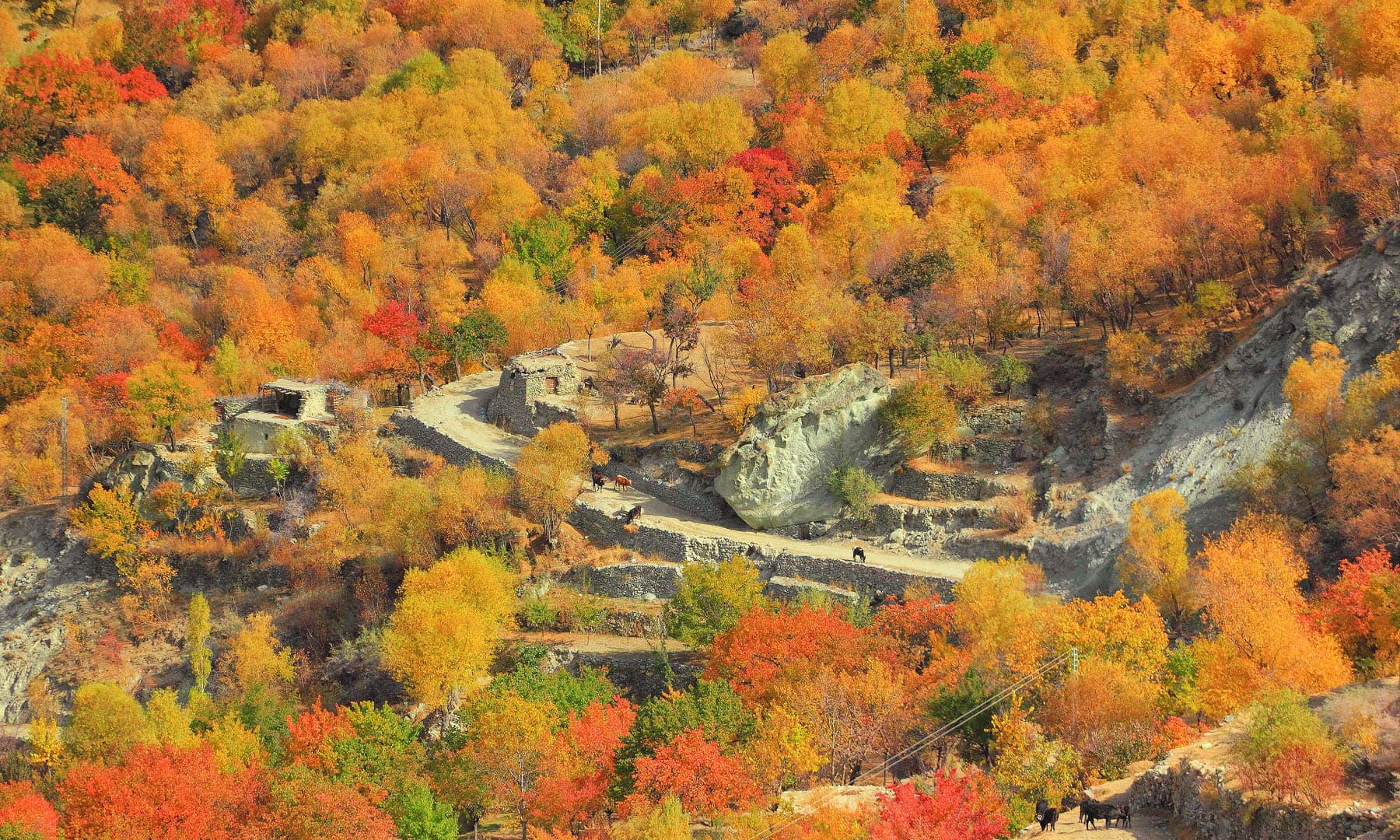 A view of Nagar Khas.