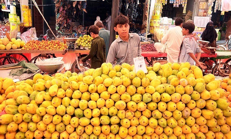 PFVA has forecast better revenue and enhanced volume after the ban on wooden crates for exporting the perishable item. -Online/File