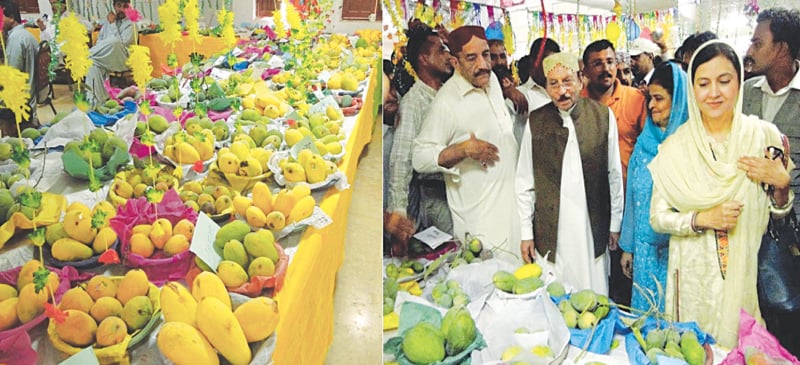 Chief Minister Syed Qaim Ali Shah visits a stall at the mango festival in Mirpurkhas on Saturday.&mdash;Dawn
