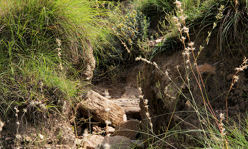 A view of the mud canyon at Saidu Sharif in Swat. &mdash; Photo by author